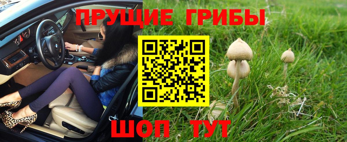 Белореченск  Галлюциногенные грибы мицелий  Вход с VPN 